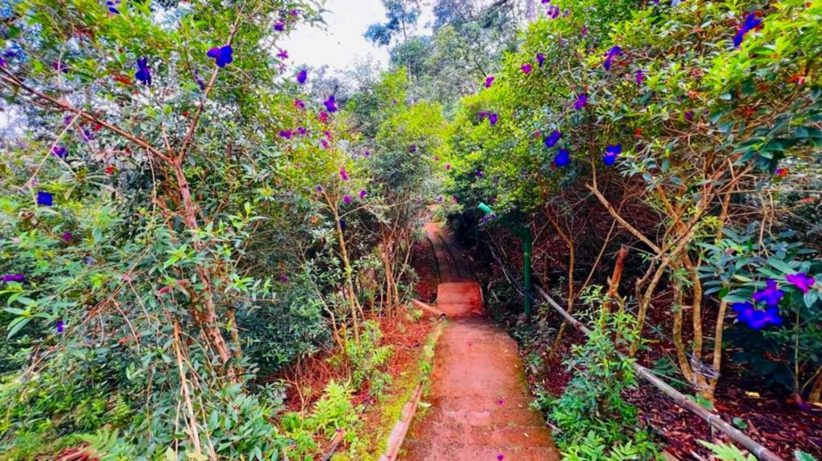 Bamboo Dale Resort, Munnar Exterior foto