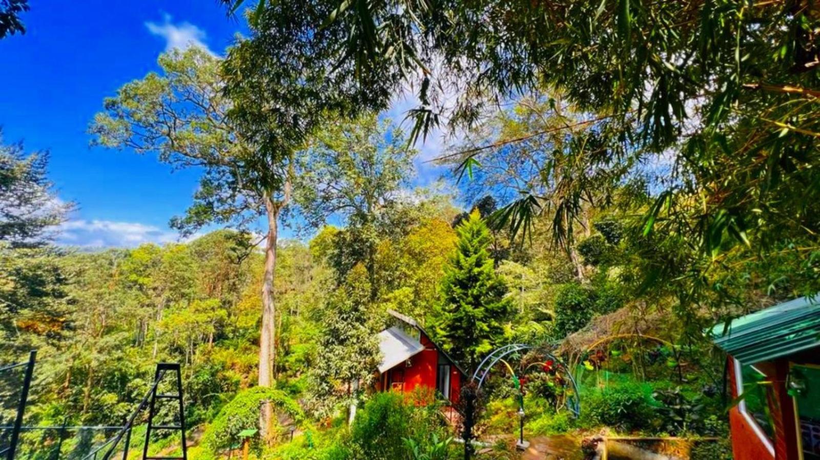 Bamboo Dale Resort, Munnar Exterior foto