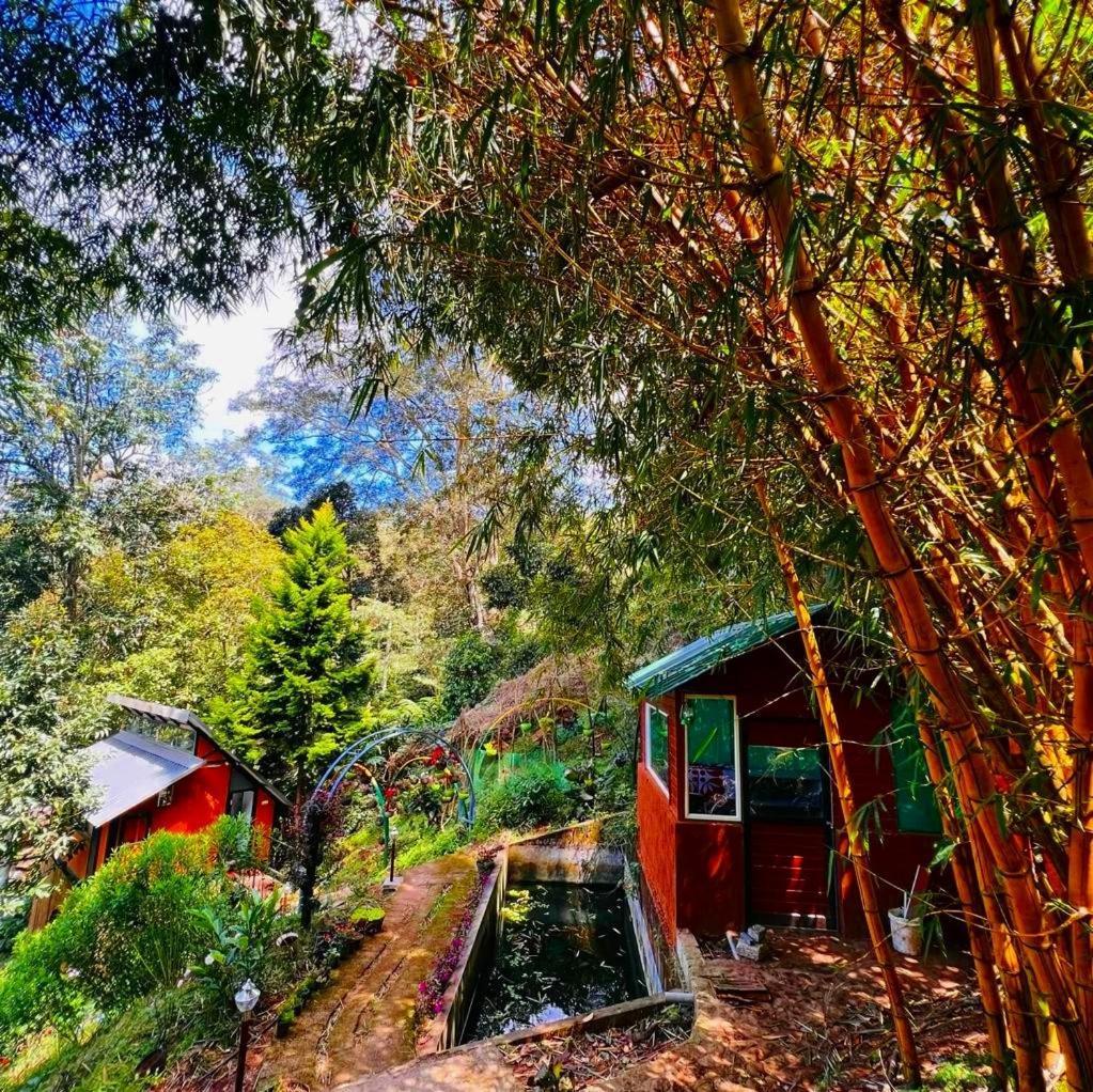 Bamboo Dale Resort, Munnar Exterior foto