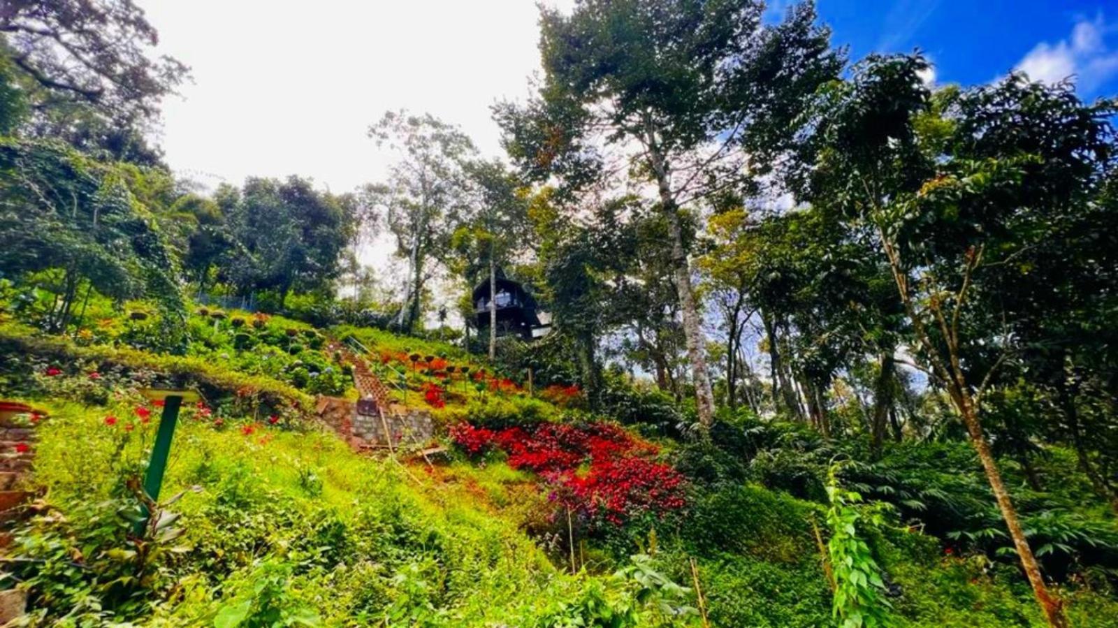 Bamboo Dale Resort, Munnar Exterior foto