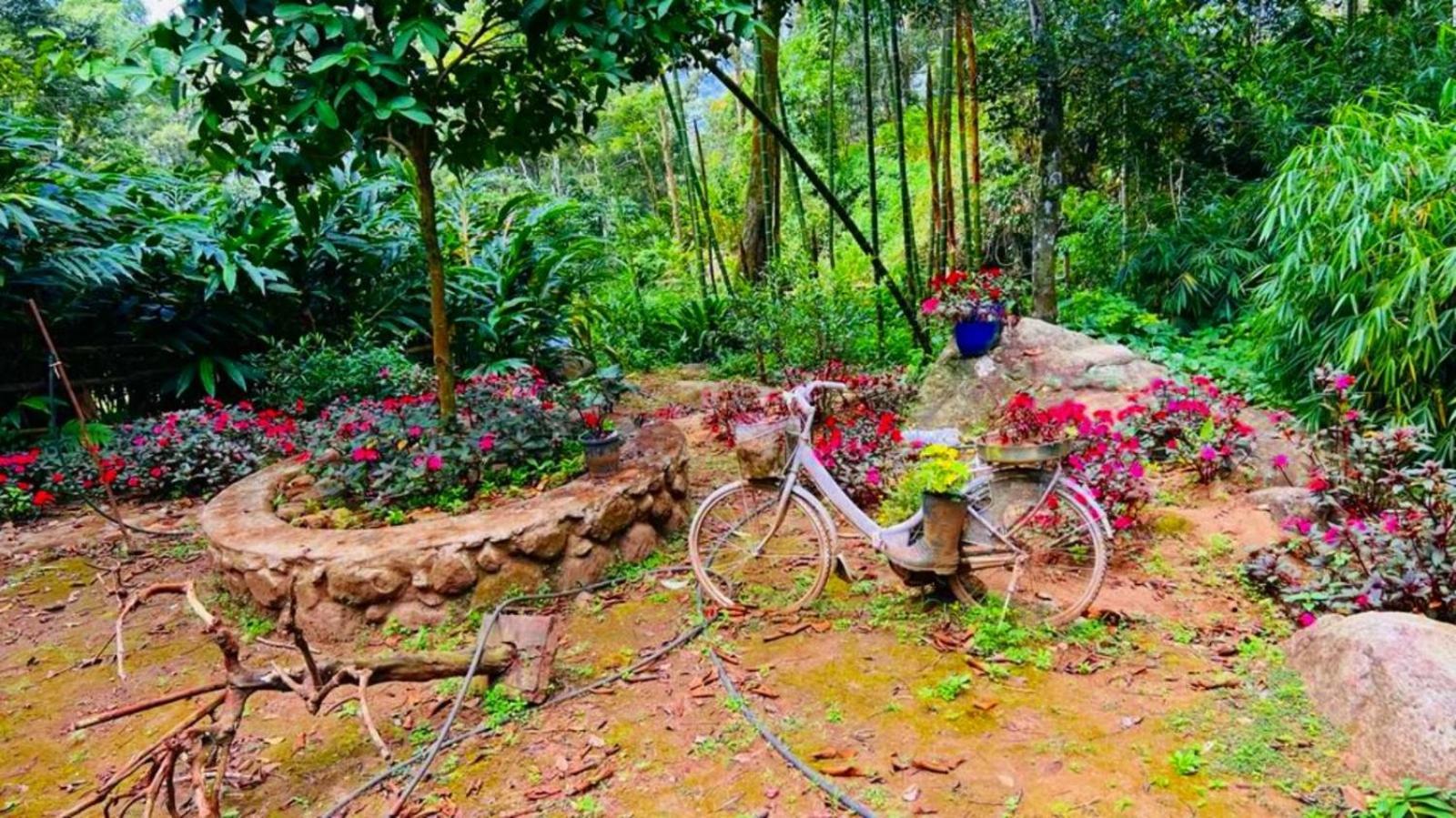 Bamboo Dale Resort, Munnar Exterior foto