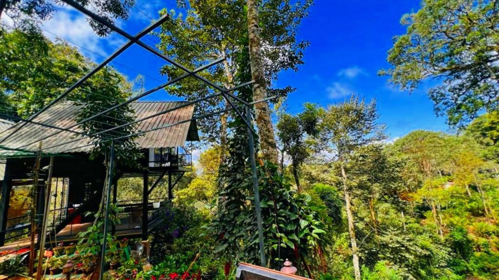 Bamboo Dale Resort, Munnar Exterior foto