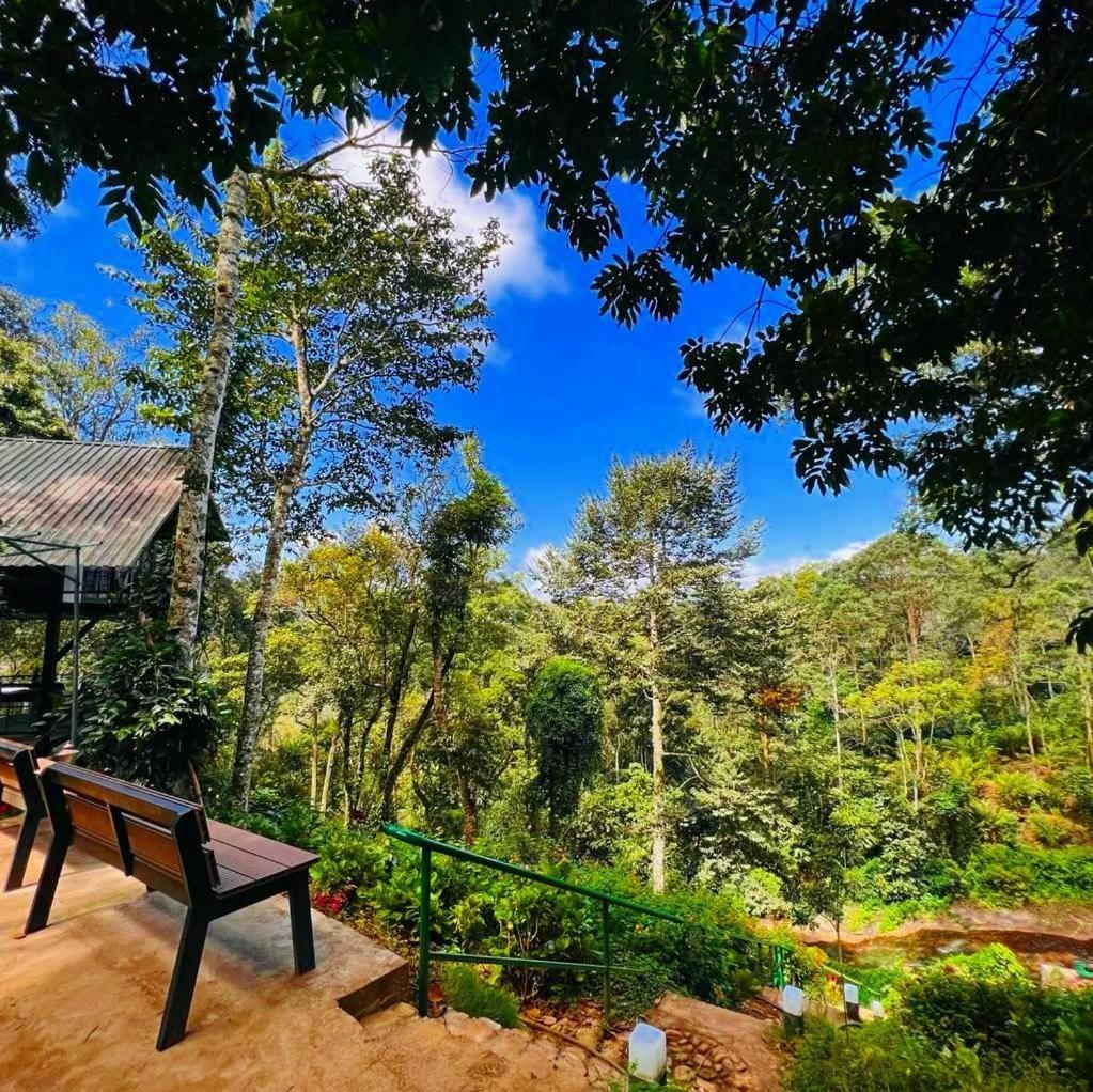 Bamboo Dale Resort, Munnar Exterior foto