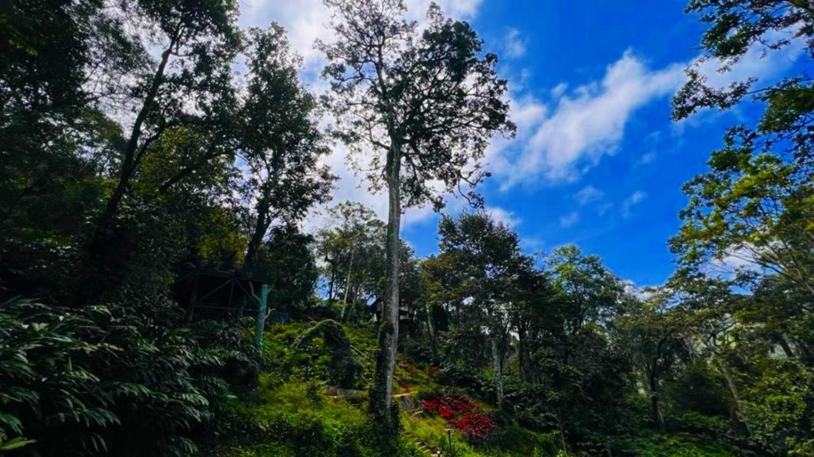 Bamboo Dale Resort, Munnar Exterior foto