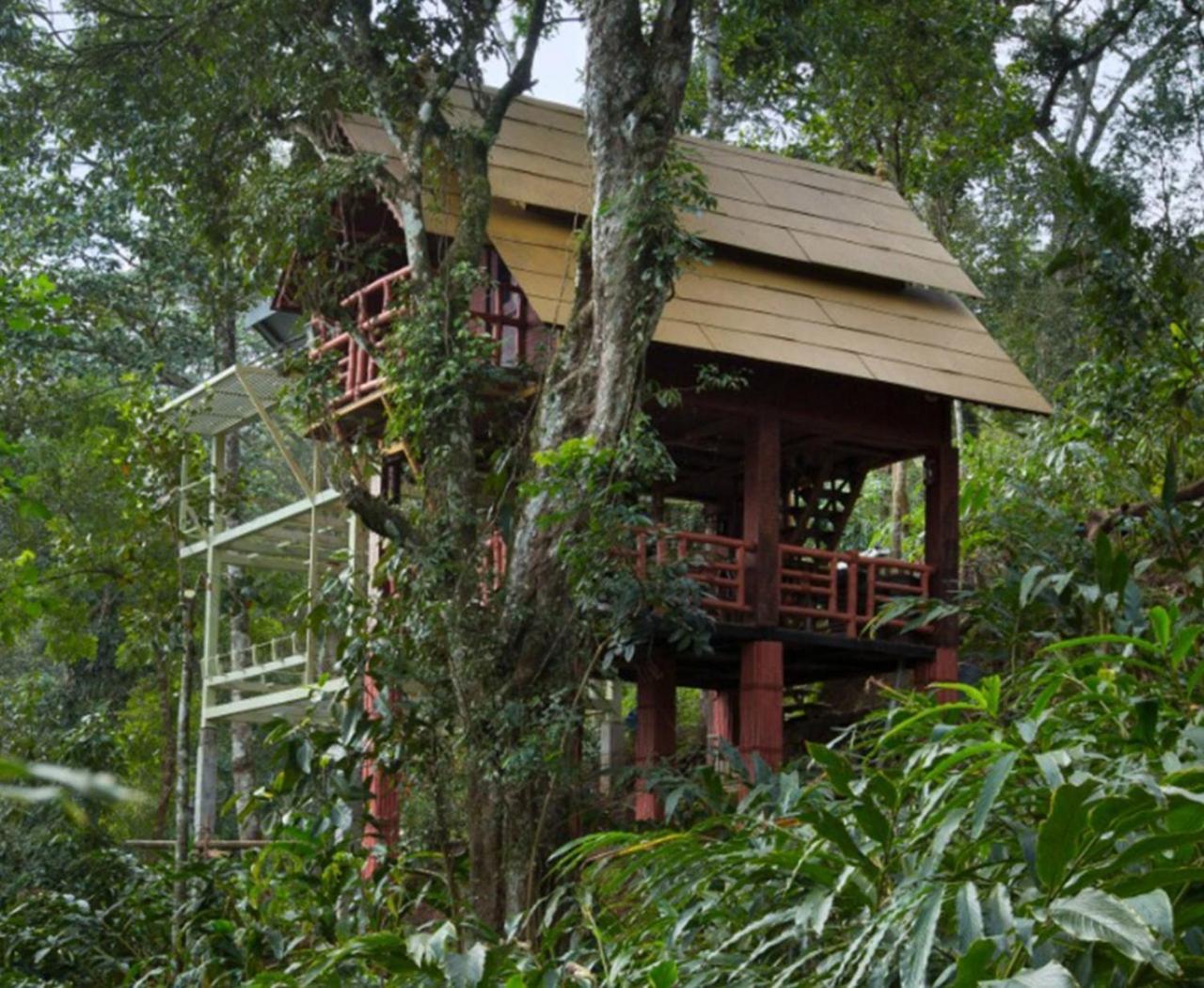 Bamboo Dale Resort, Munnar Exterior foto
