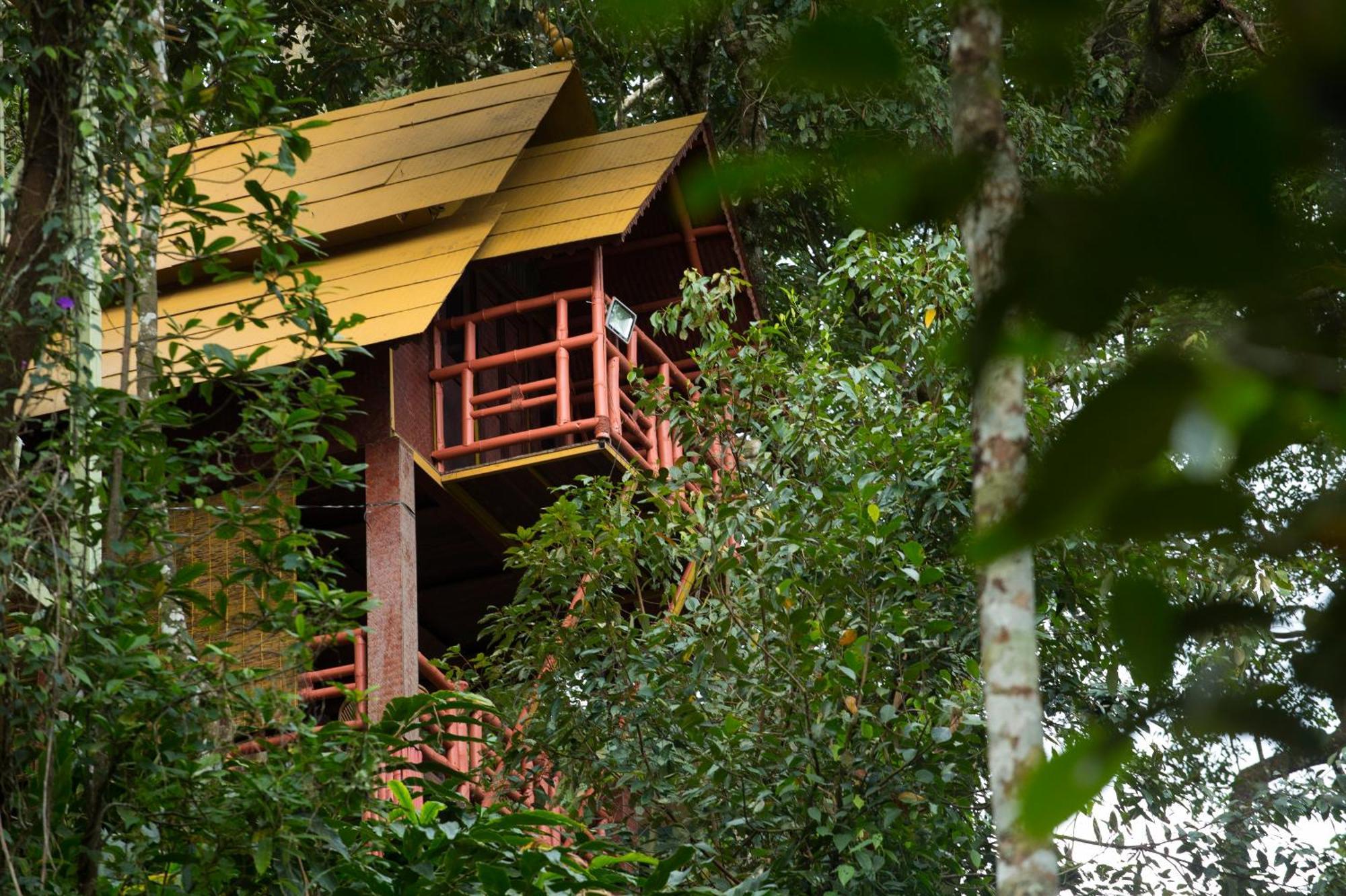Bamboo Dale Resort, Munnar Exterior foto