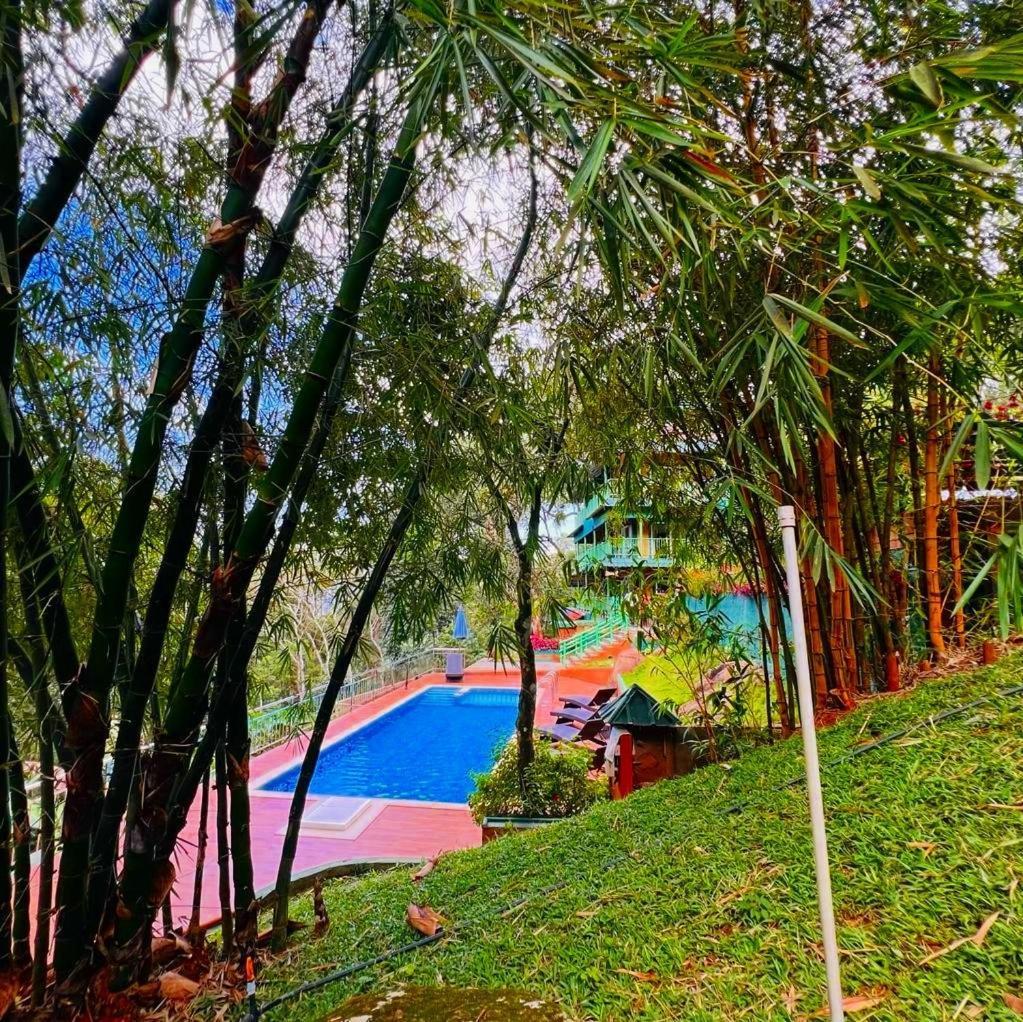 Bamboo Dale Resort, Munnar Exterior foto