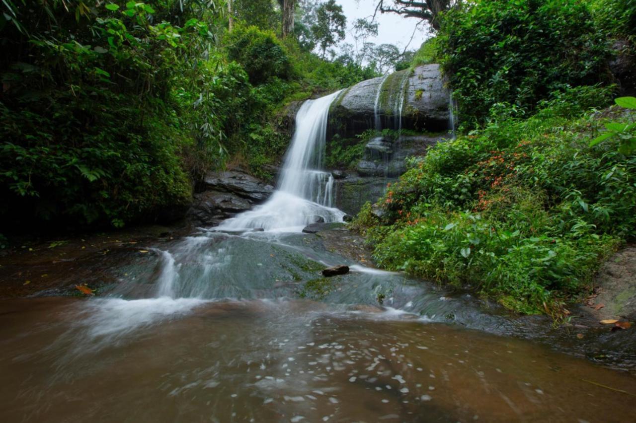 Bamboo Dale Resort, Munnar Exterior foto